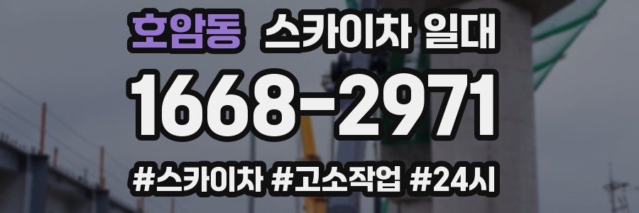 호암동 스카이차 일대