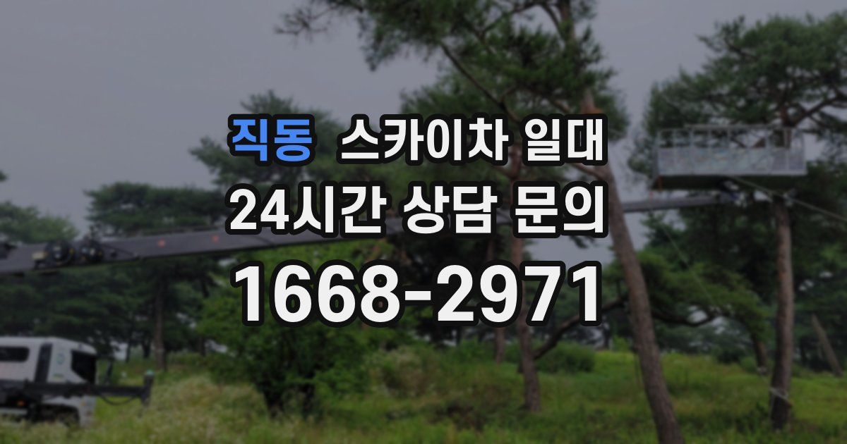 직동 스카이차 일대