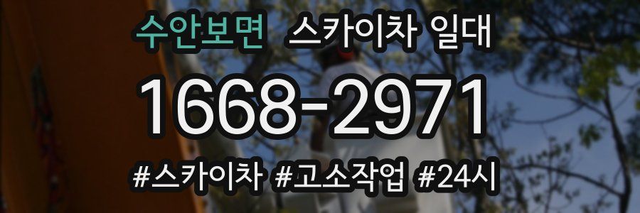 수안보면 스카이차 일대