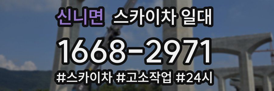 신니면 스카이차 일대