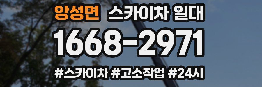 앙성면 스카이차 일대