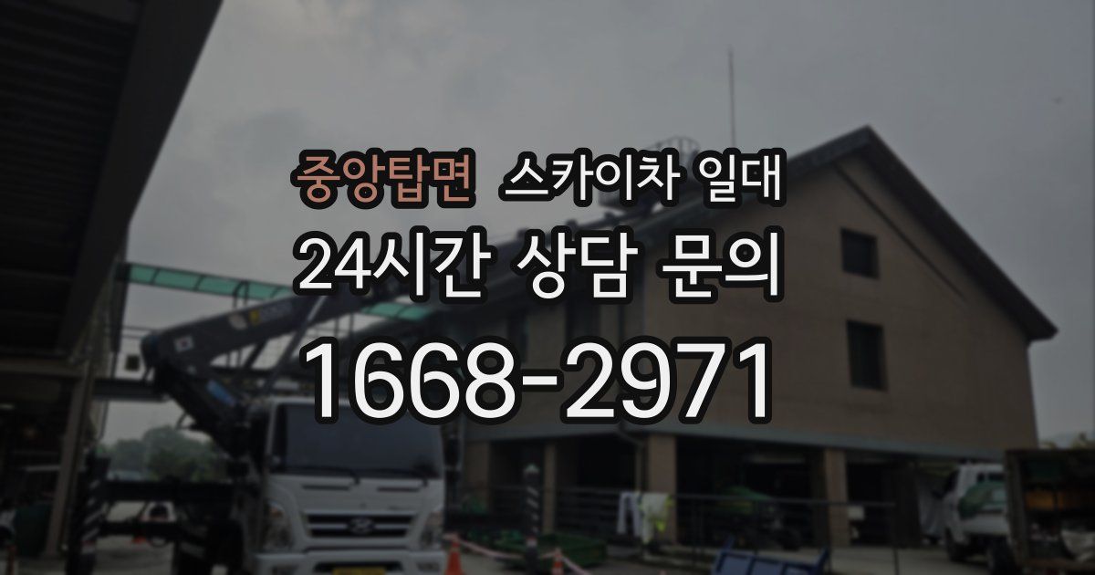 중앙탑면 스카이차 일대
