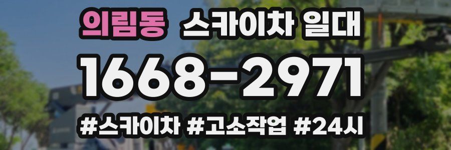 의림동 스카이차 일대