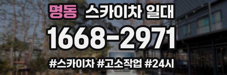 명동 스카이차 일대
