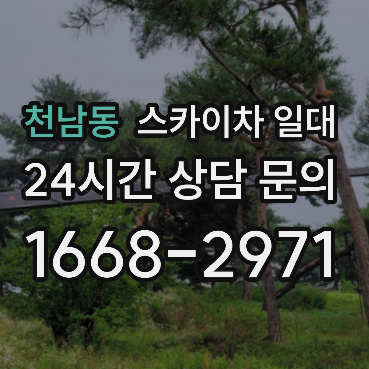 천남동 스카이차 일대