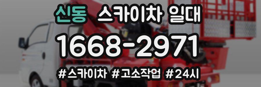 신동 스카이차 일대