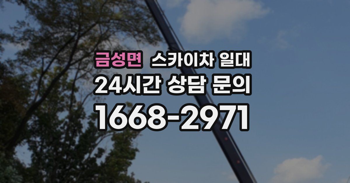 금성면 스카이차 일대