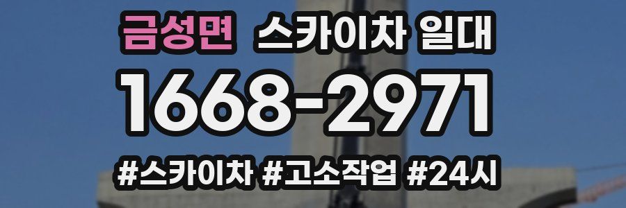 금성면 스카이차 일대