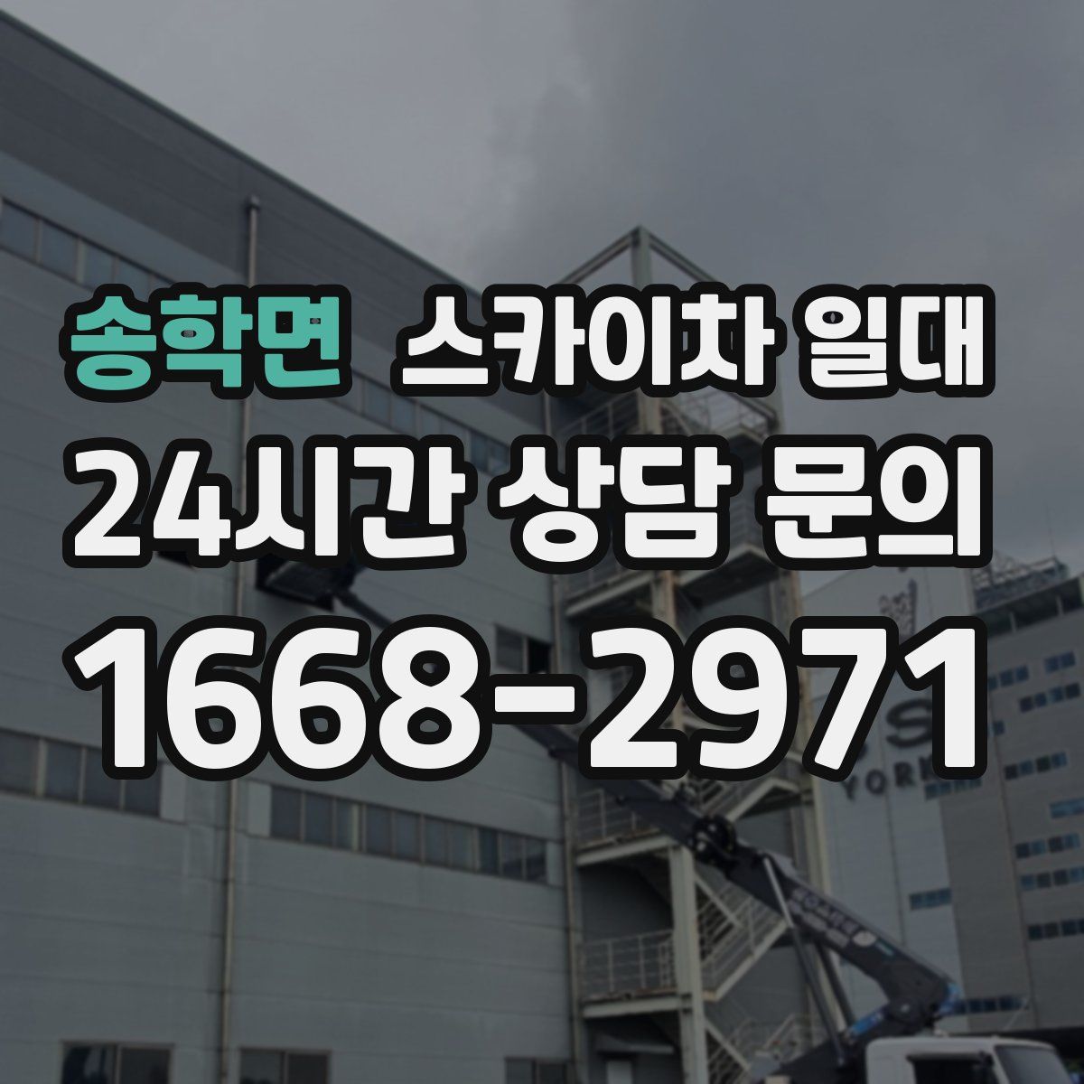 송학면 스카이차 일대