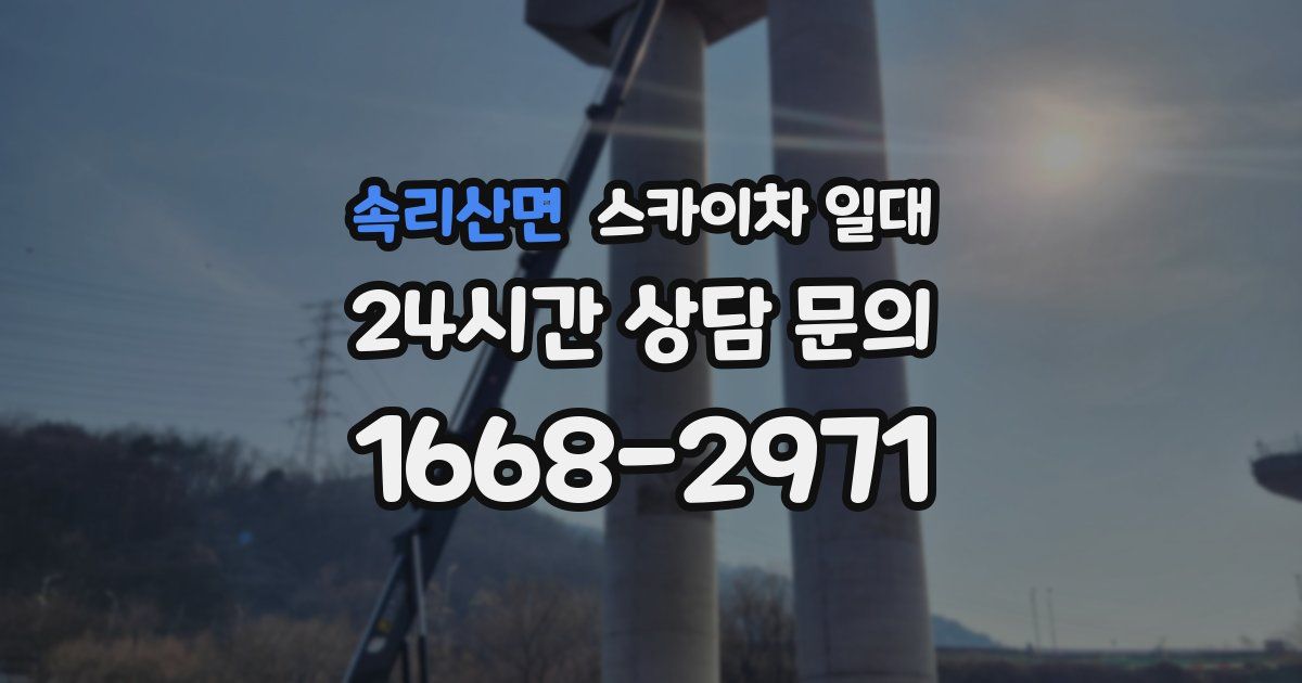 속리산면 스카이차 일대