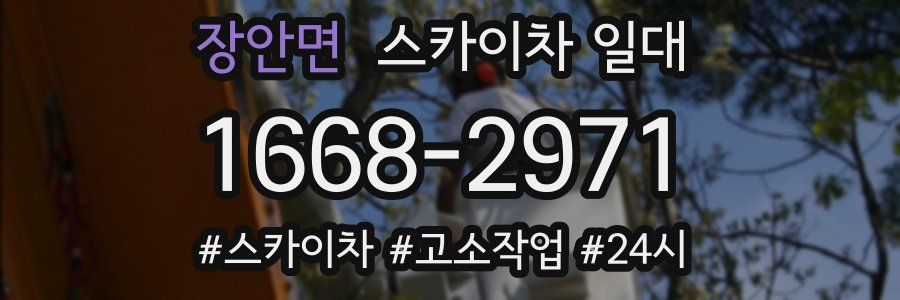 장안면 스카이차 일대