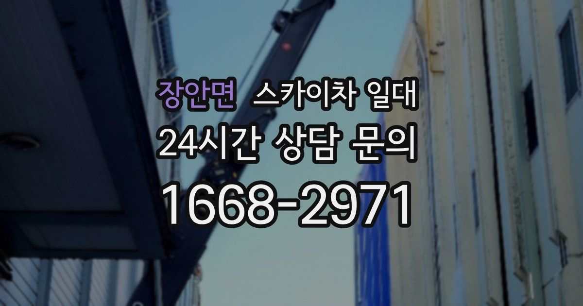 장안면 스카이차 일대