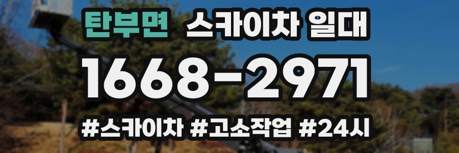 탄부면 스카이차 일대