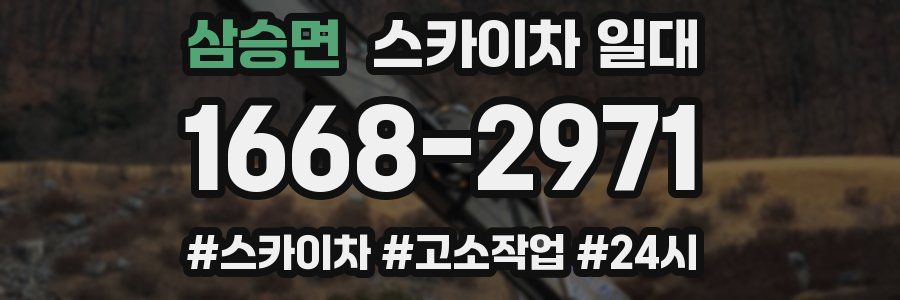 삼승면 스카이차 일대