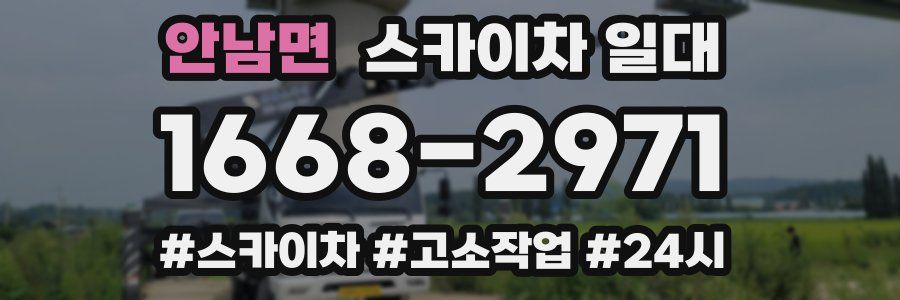 안남면 스카이차 일대
