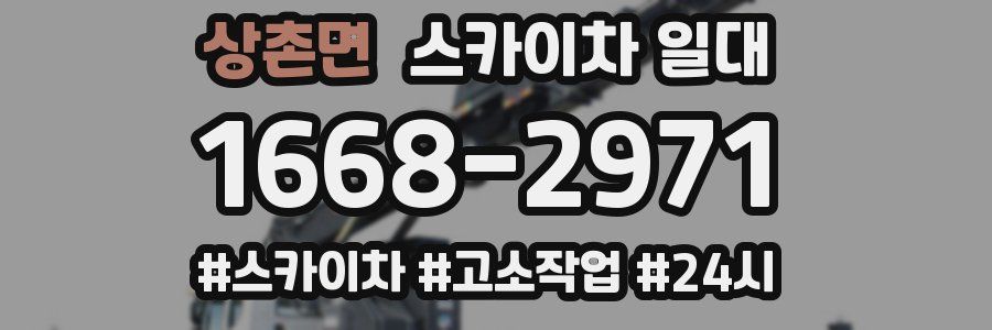 상촌면 스카이차 일대