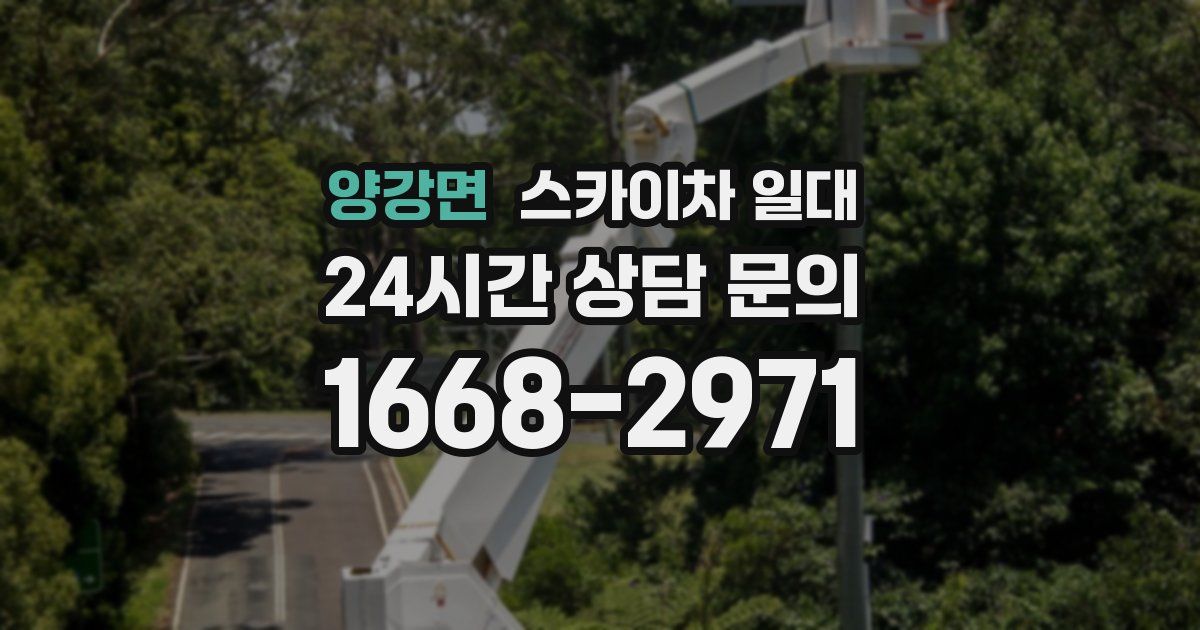 양강면 스카이차 일대