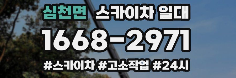 심천면 스카이차 일대