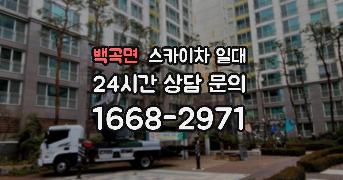 백곡면 스카이차 일대