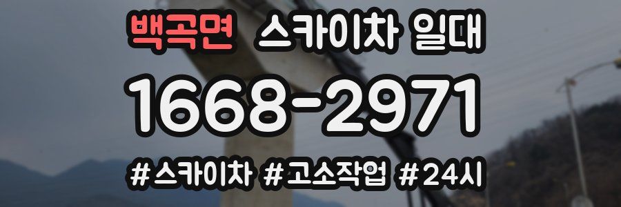 백곡면 스카이차 일대