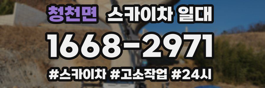 청천면 스카이차 일대