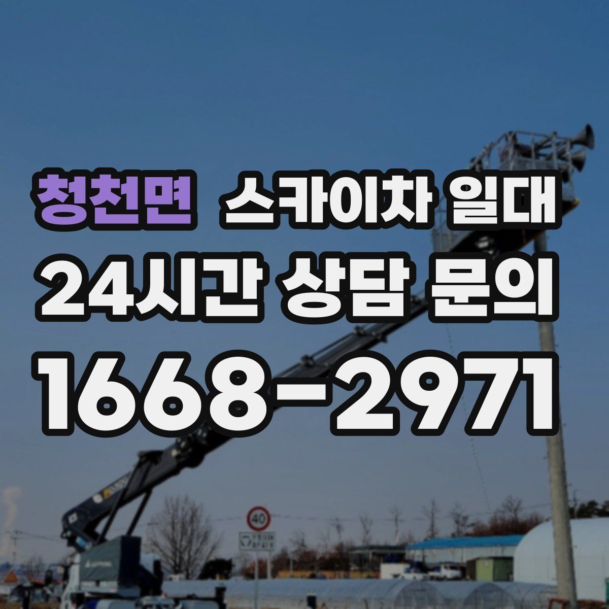 청천면 스카이차 일대
