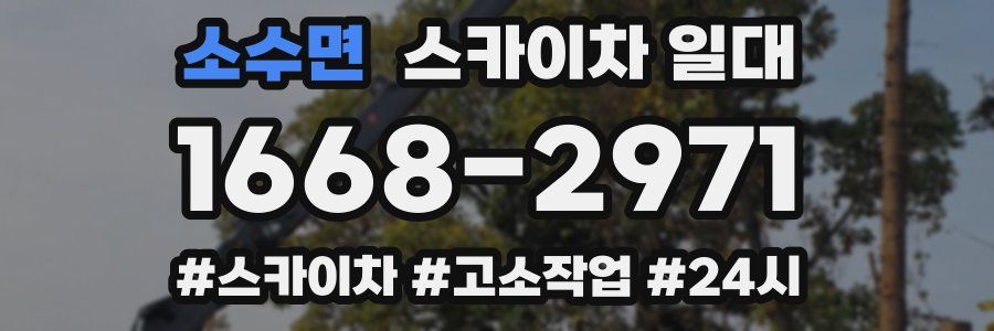 소수면 스카이차 일대