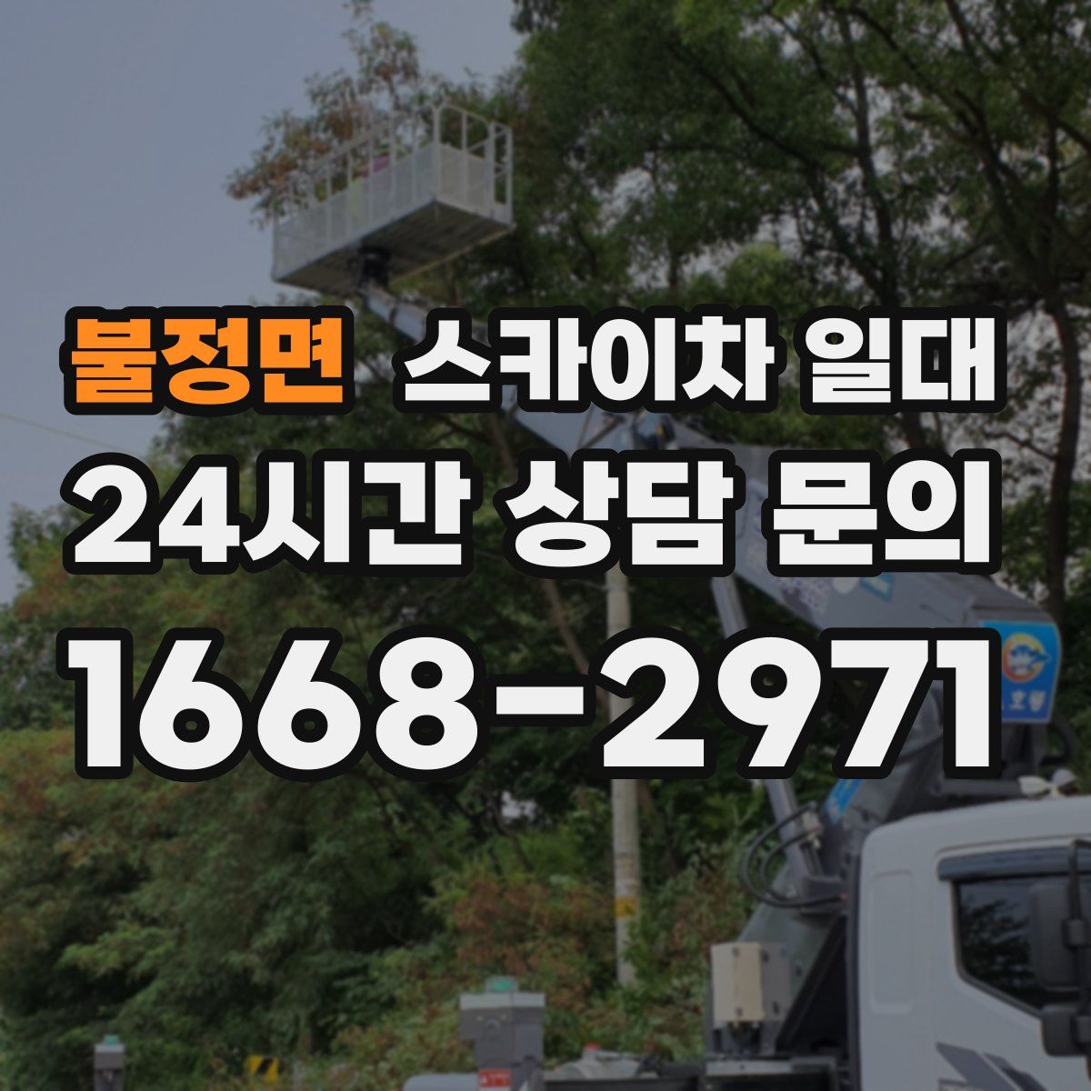 불정면 스카이차 일대