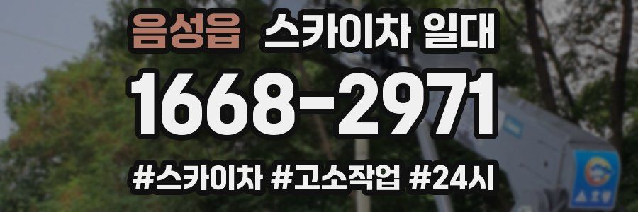 음성읍 스카이차 일대