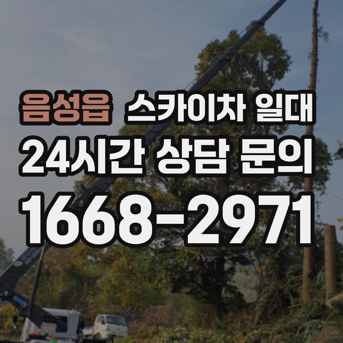음성읍 스카이차 일대
