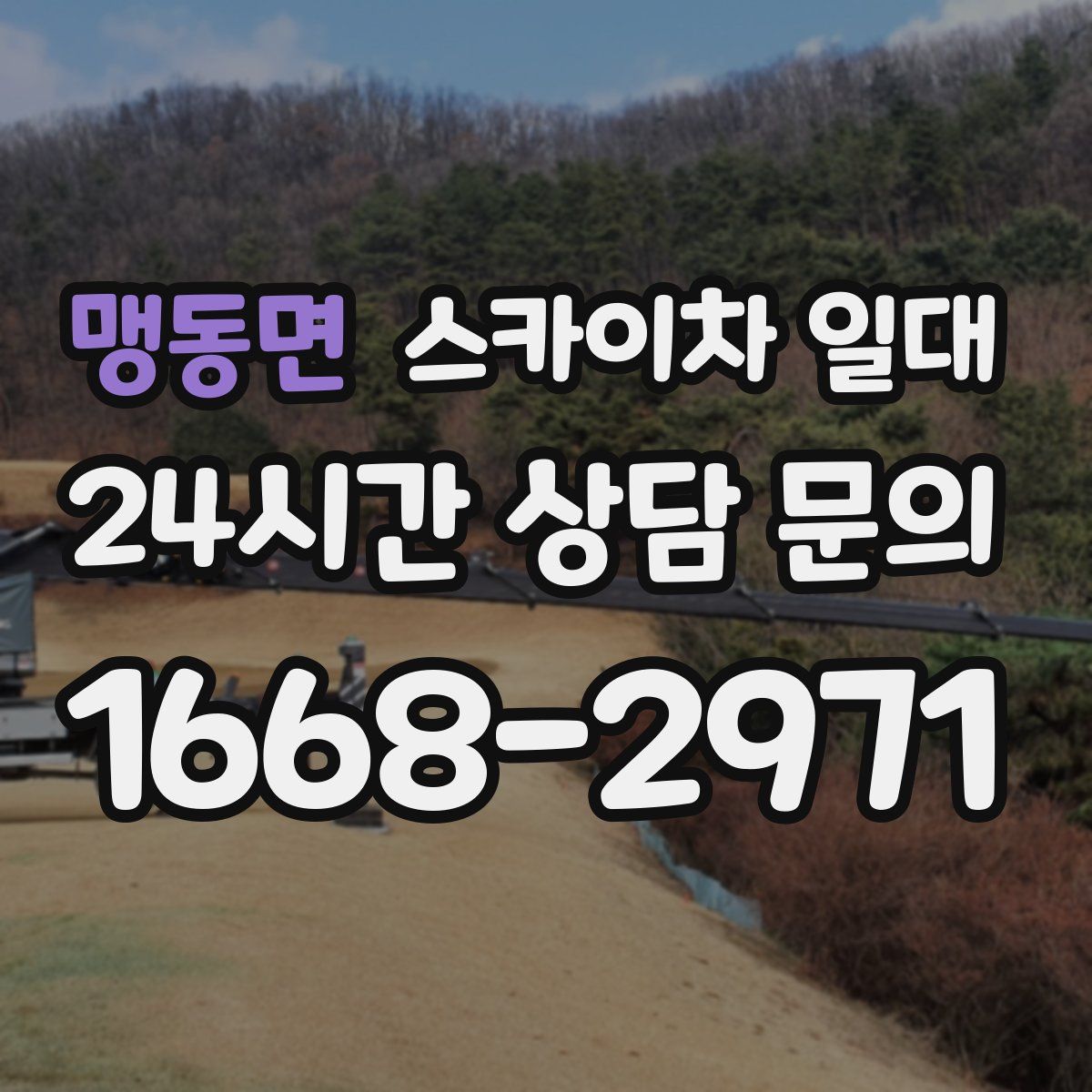 맹동면 스카이차 일대