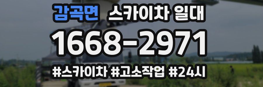 감곡면 스카이차 일대