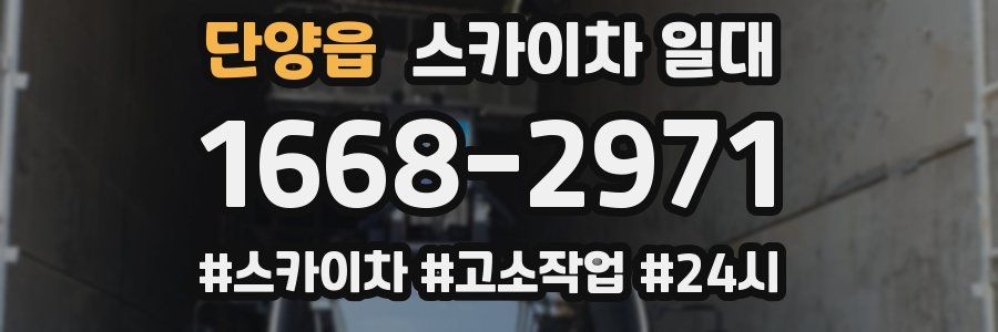 단양읍 스카이차 일대