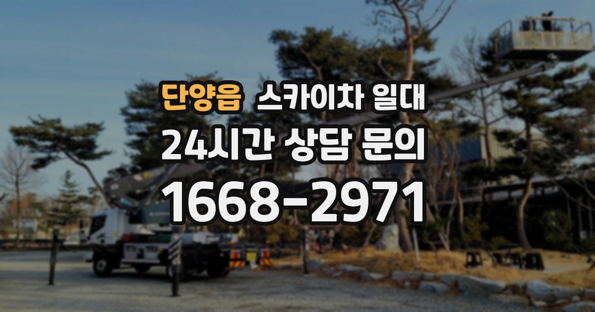 단양읍 스카이차 일대