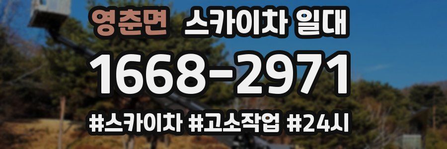 영춘면 스카이차 일대
