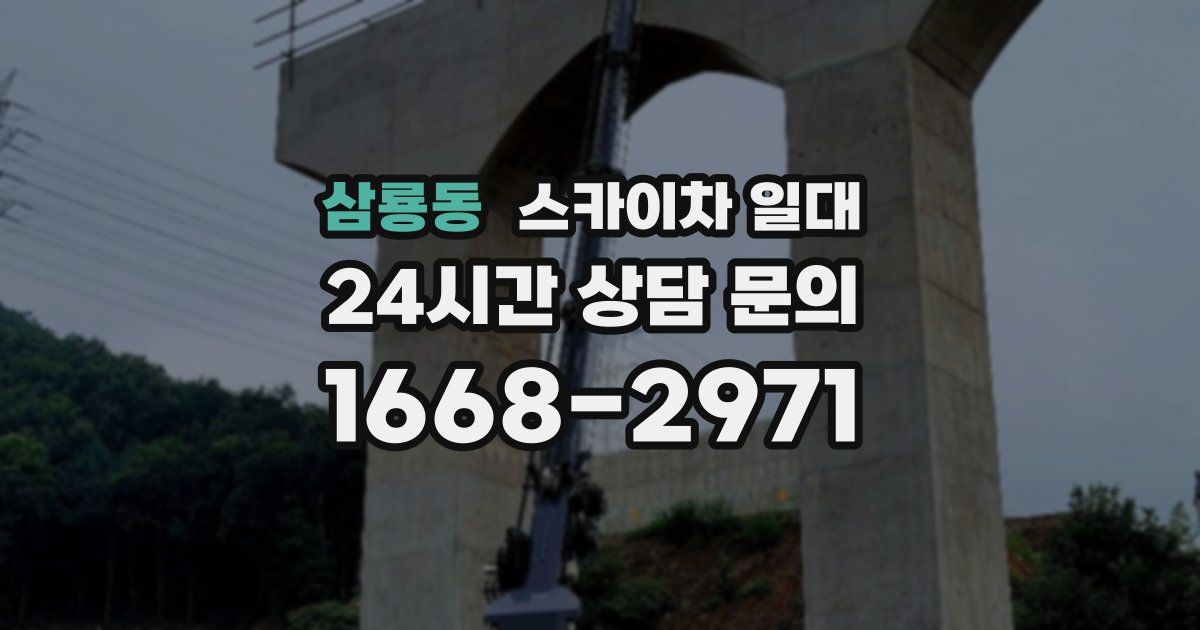 삼룡동 스카이차 일대