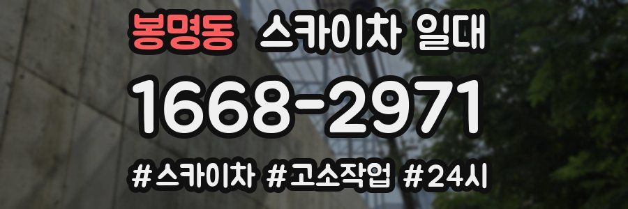 봉명동 스카이차 일대