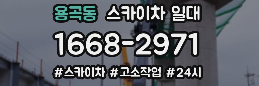 용곡동 스카이차 일대