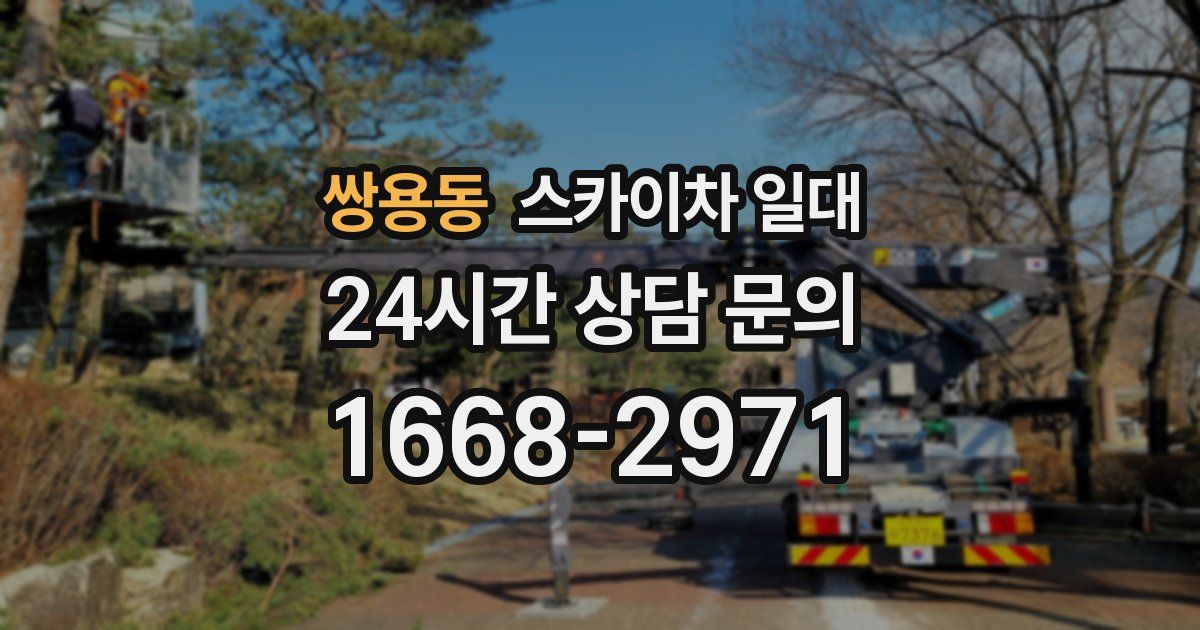 쌍용동 스카이차 일대