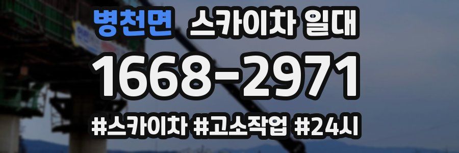 병천면 스카이차 일대