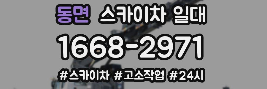 동면 스카이차 일대