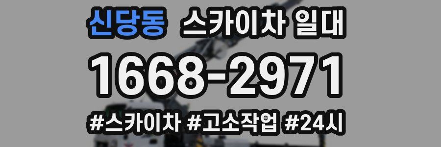 신당동 스카이차 일대