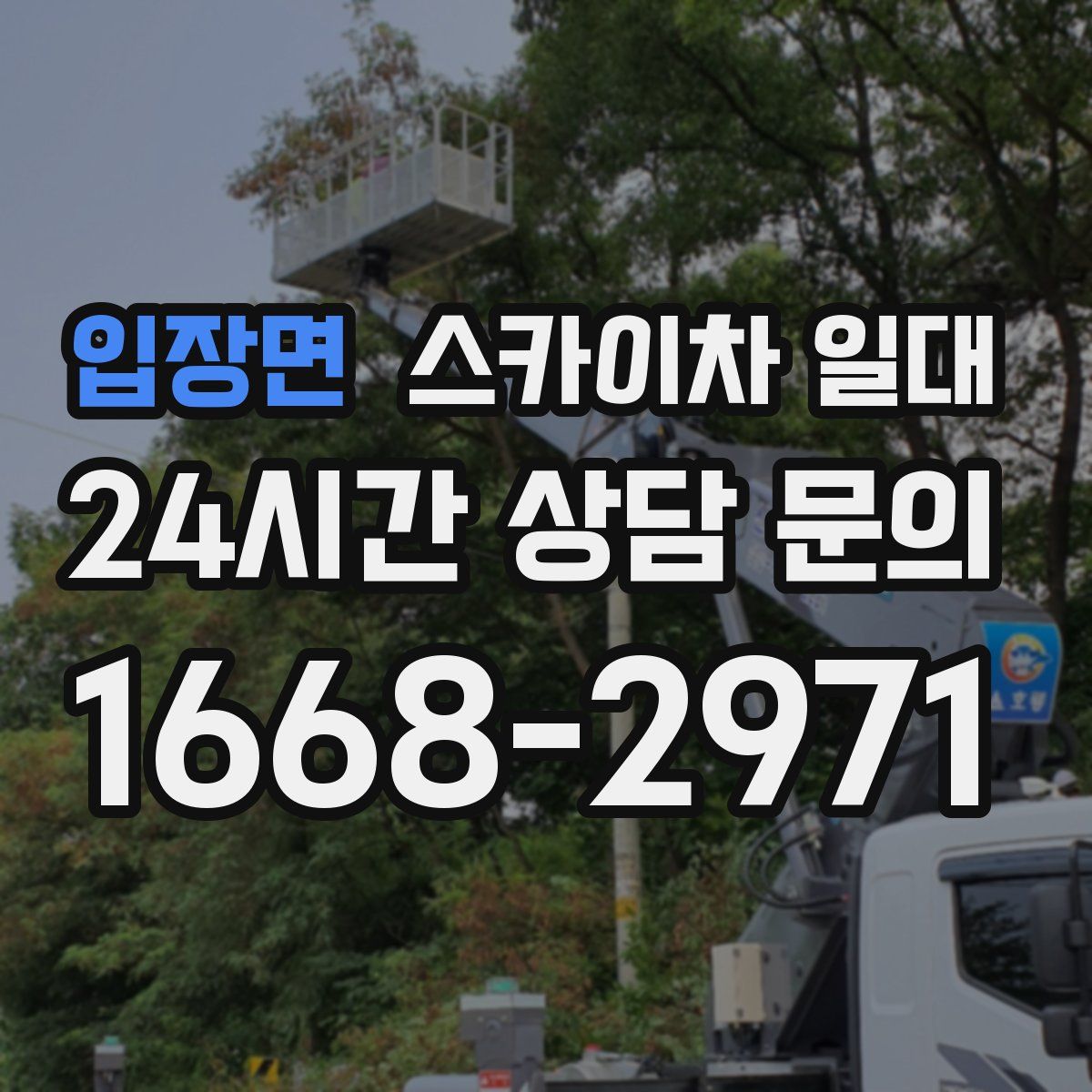 입장면 스카이차 일대
