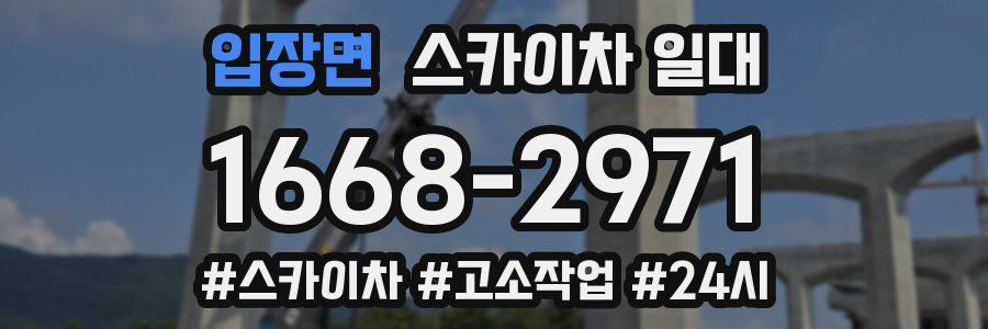 입장면 스카이차 일대