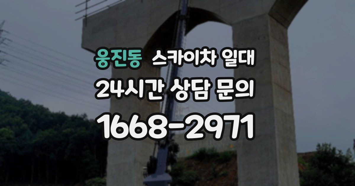 웅진동 스카이차 일대