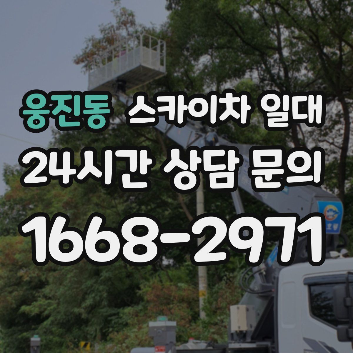 웅진동 스카이차 일대