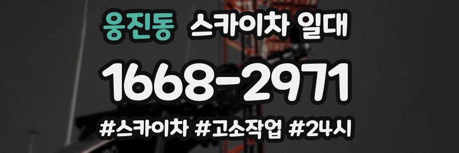 웅진동 스카이차 일대