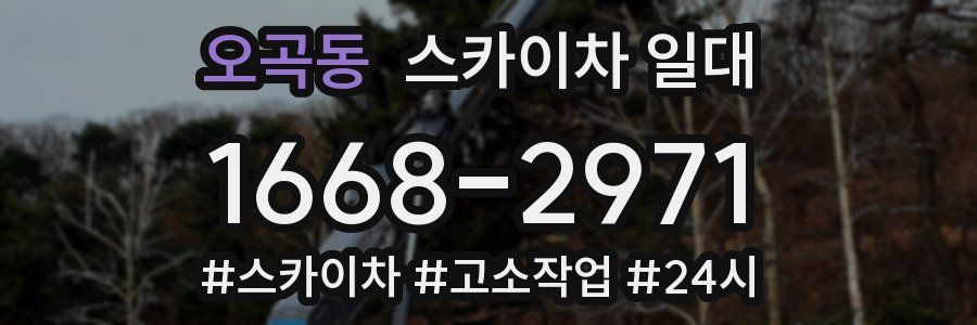 오곡동 스카이차 일대