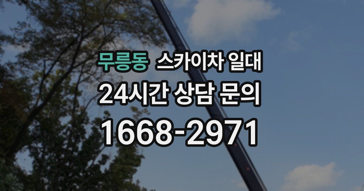 무릉동 스카이차 일대