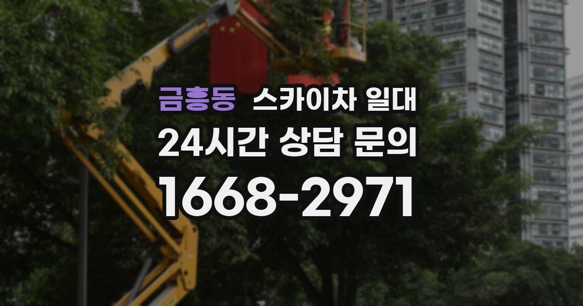 금흥동 스카이차 일대
